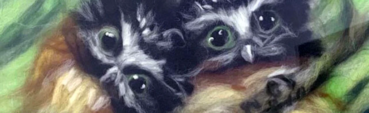 Постер Пушистый друг. Мастер-класс (изготовление картины в технике шерстяная акварель) в Орске