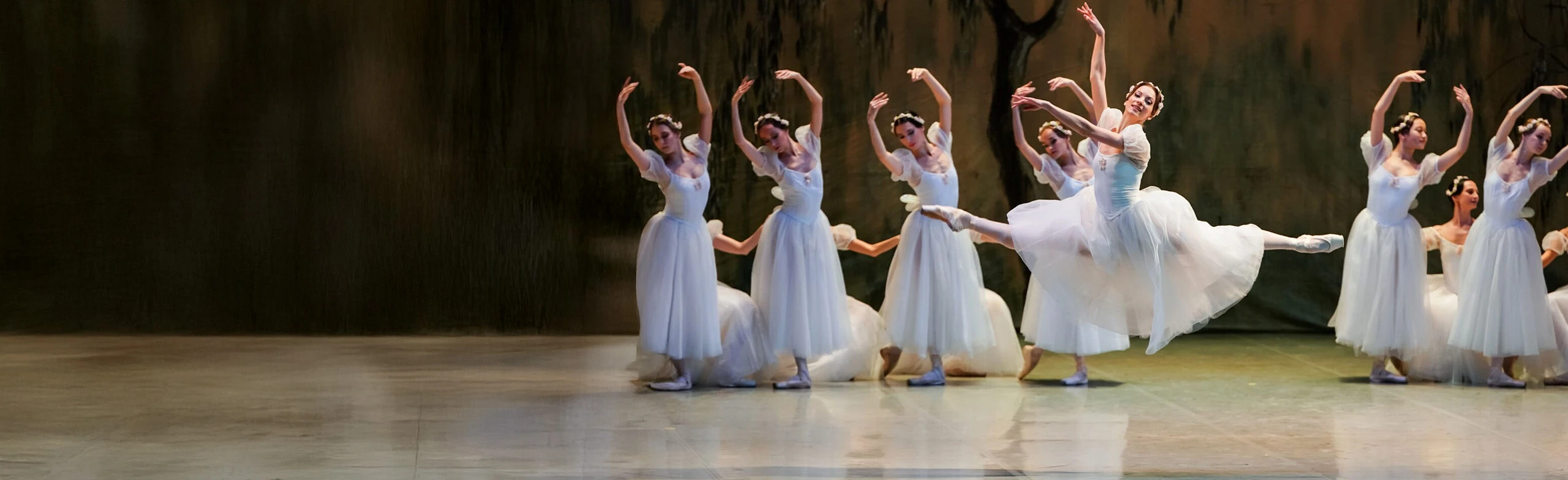 Постер Балеты Михаила Фокина в Перми