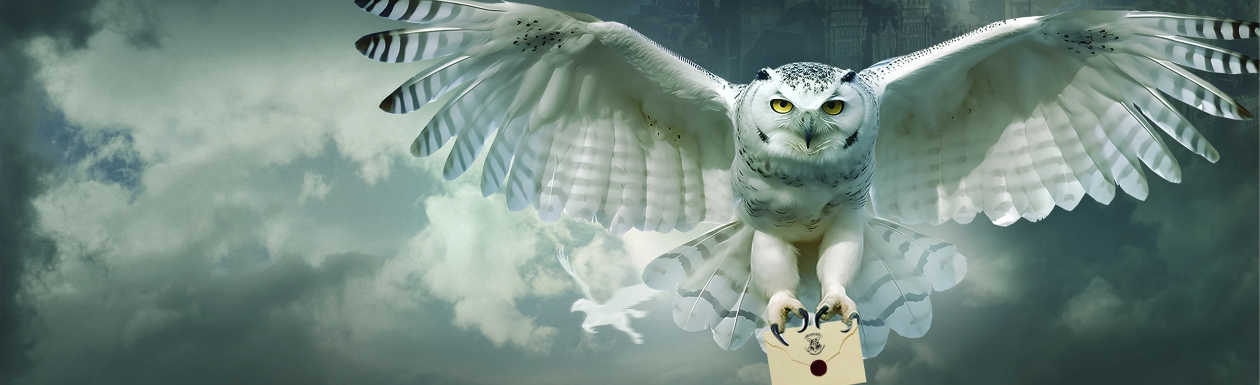 Постер Концерт "Гарри Поттер". Оркестр Sonorus". в Перми