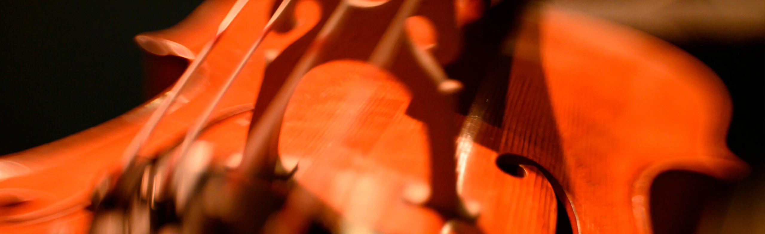 Постер Элгар / Сибелиус в Перми