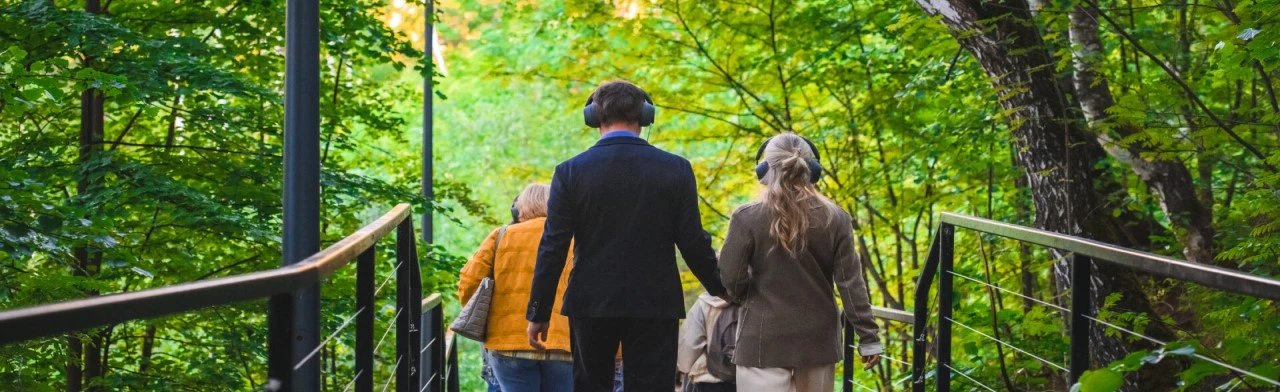 Постер Городская сюита в Перми