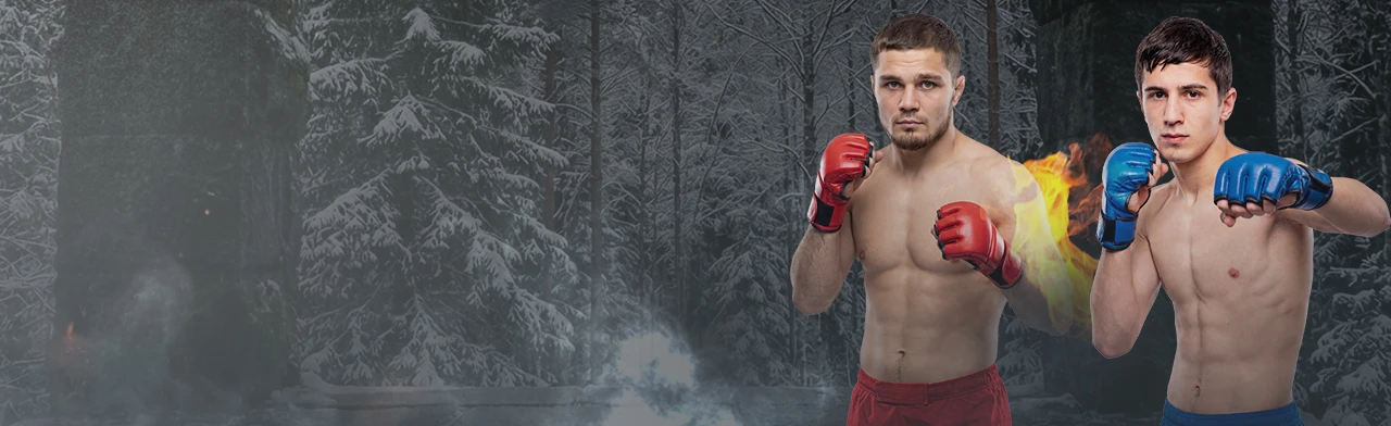 Постер Бои в клетке "Северный воин" в Петрозаводске