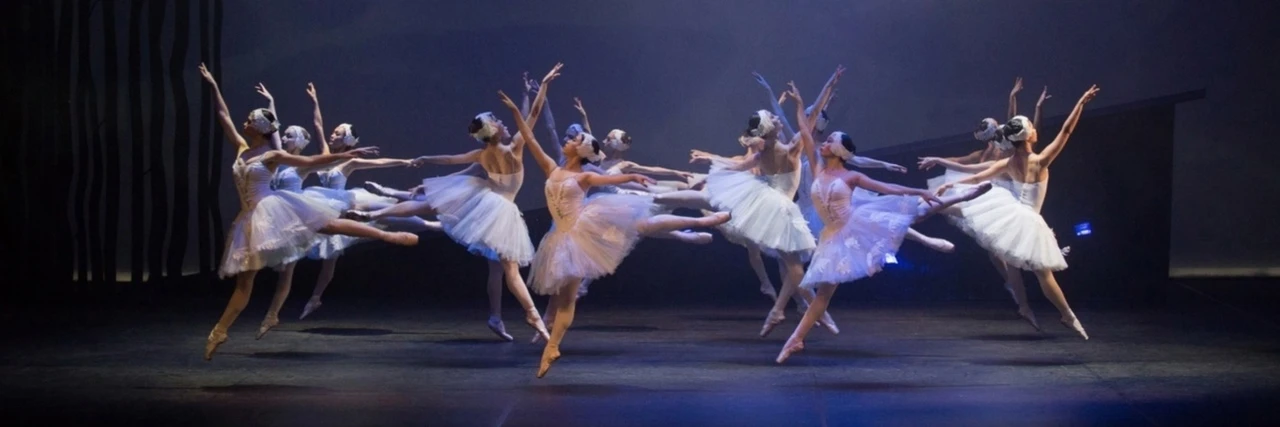 Постер Лебединое озеро в Петрозаводске