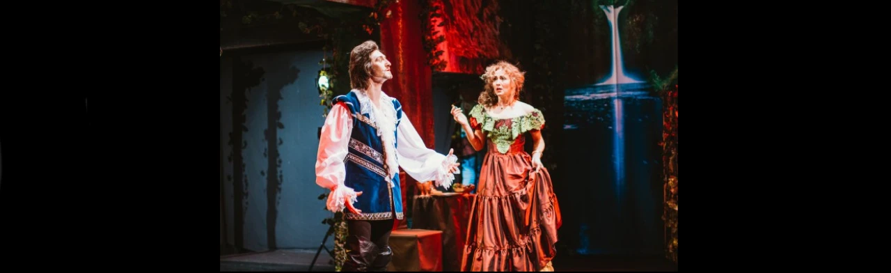 Постер Изобретательная влюбленная в Петрозаводске