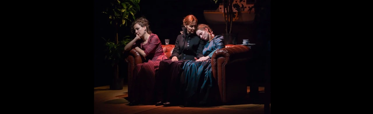 Постер Васса в Петрозаводске