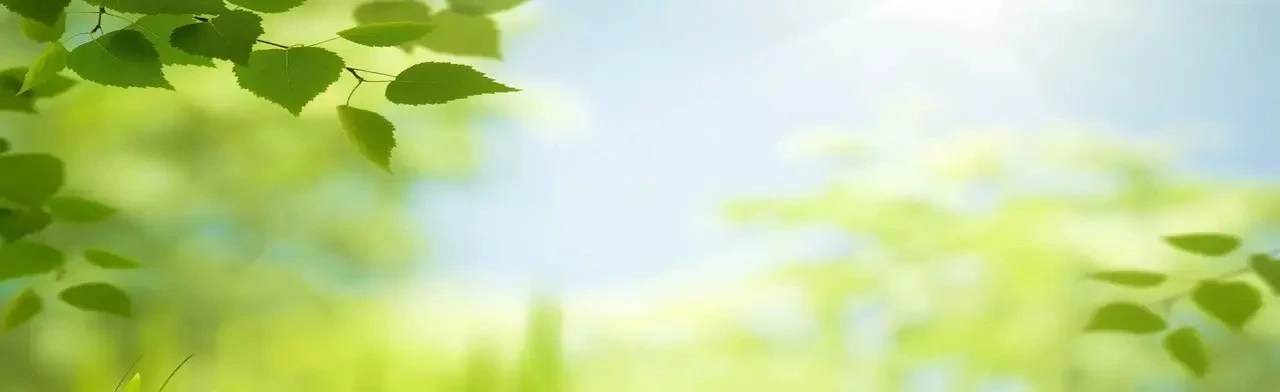 Постер Приметы и поверья. Интеллектуальная игра