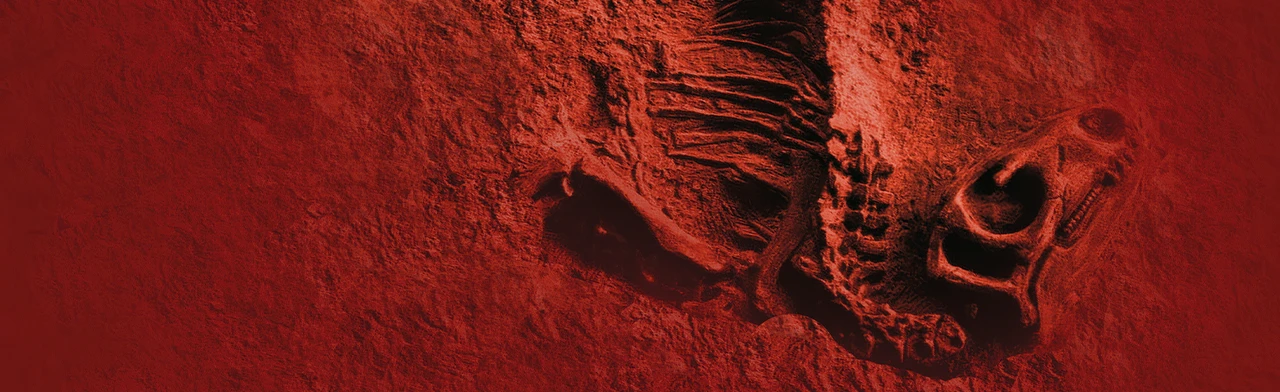 Постер Древняя жизнь. Вятского палеонтологического музея в Ростове-на-Дону