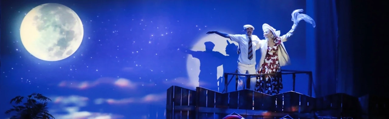 Постер Любовь и голуби (РГМТ) в Ростове-на-Дону