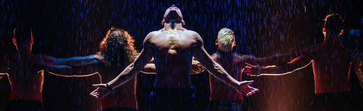 Постер Шоу под дождём