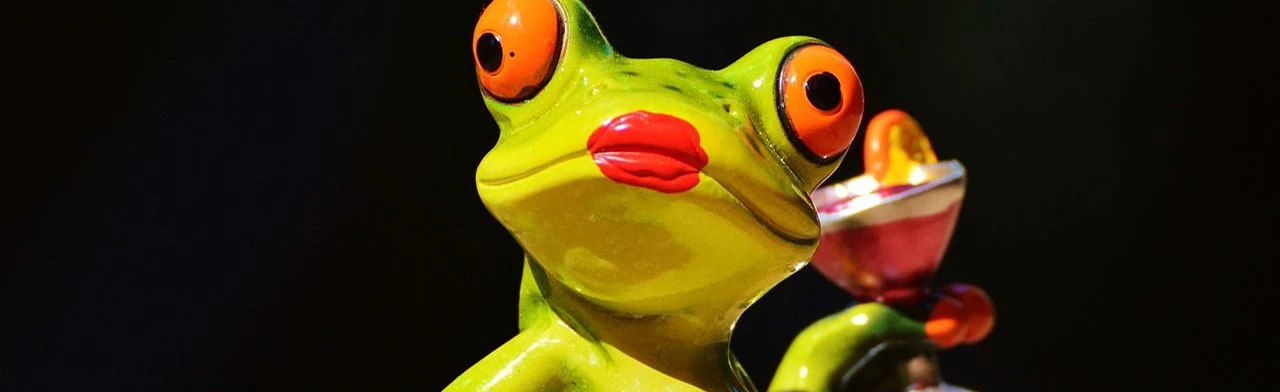 Постер Прекрасная лягушка в Саранске