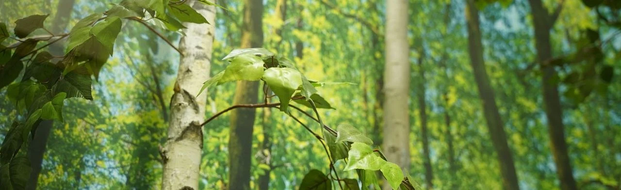 Постер Удивительный мир деревьев: от природы к человеку в Саранске