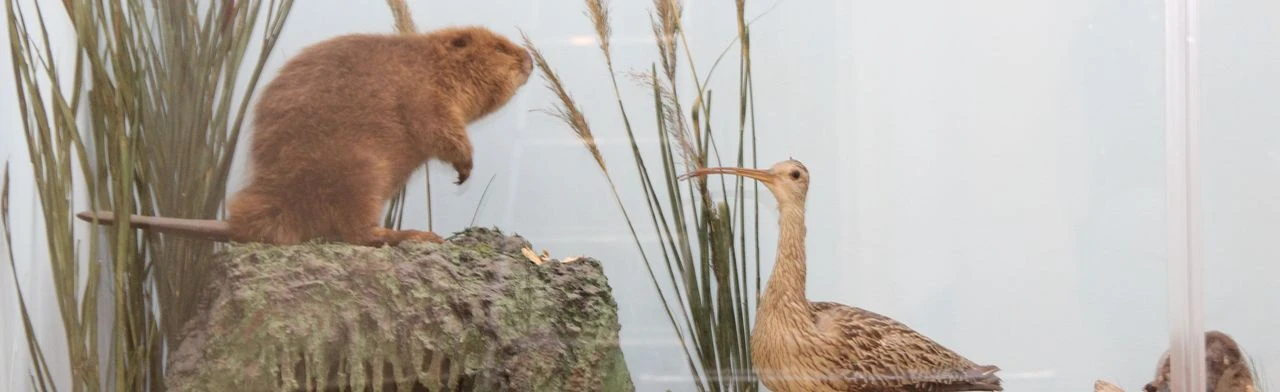 Постер Исчезнувшие: Лекция в Саранске