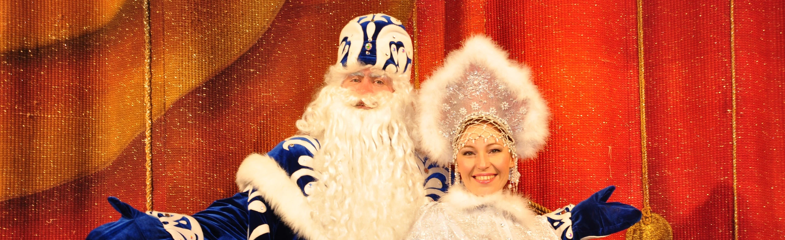 Постер Новогоднее представление и спектакль «Лесной карнавал» в Саранске