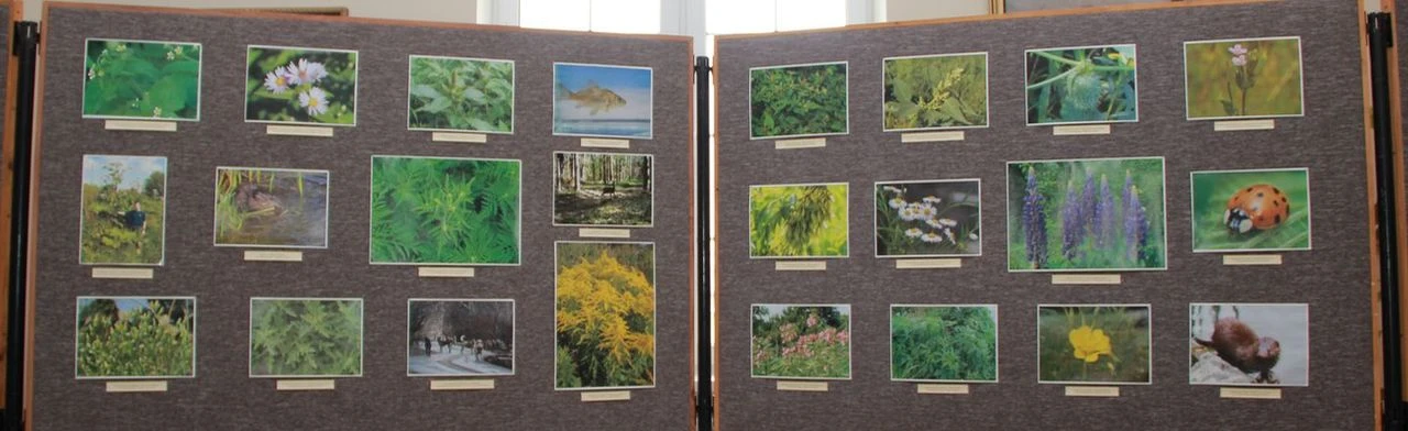 Постер Опасные пришельцы: Лекция в Саранске