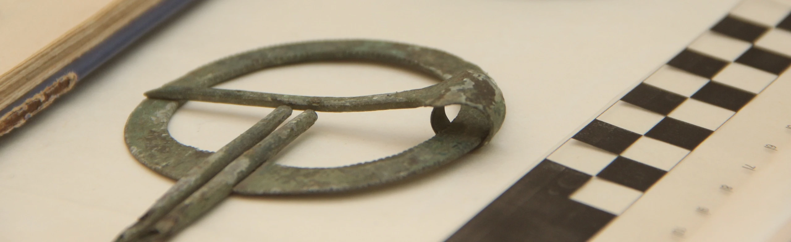 Постер Занимательная археология. Интерактивная лекция в Саранске