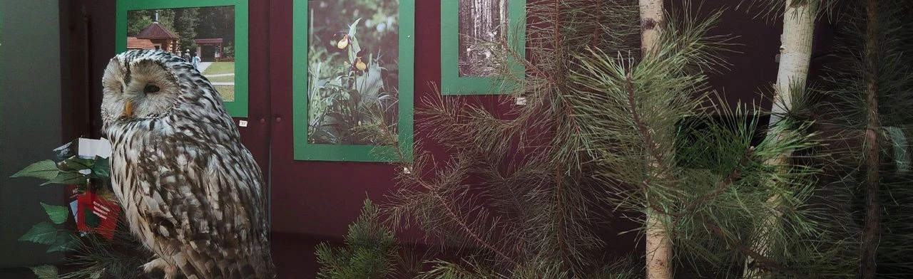 Постер Ценитель классики: выбираете вечное. Для вас – проверенные временем жанры и сюжеты в Саранске