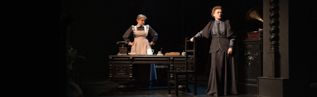 Постер Васса Железнова в Саратове