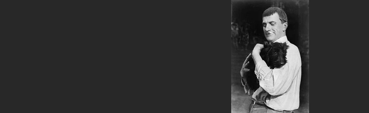 Постер Щен в Саратове