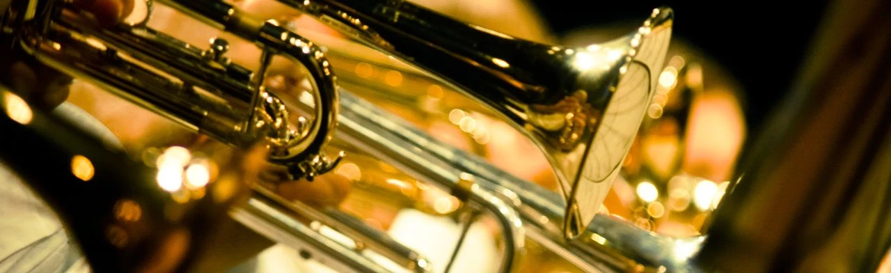 Постер Ансамбль в Саратове