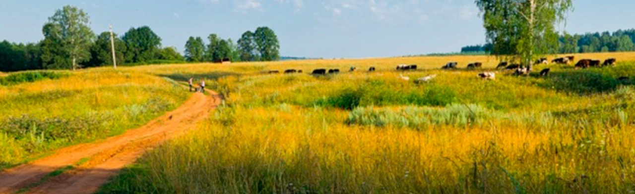 Постер Всему начало здесь... Краеведческая игра-путешествие в Саратове