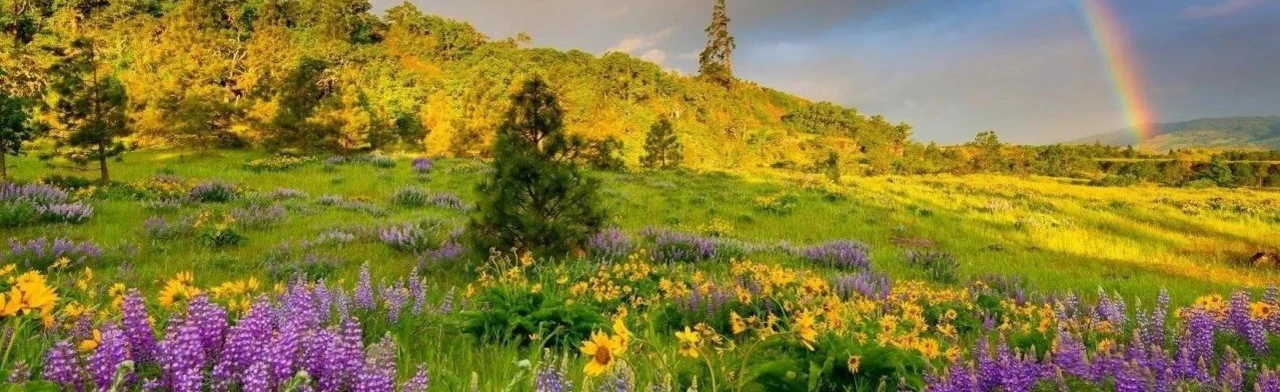 Постер Видеть, слушать, чувствовать природу. Экологический квиз в Саратове