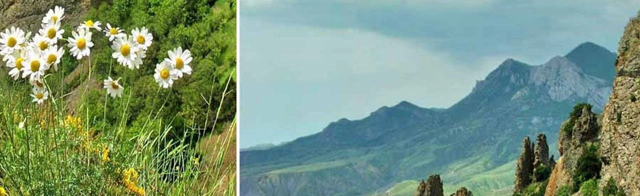 Постер Крым в истории России. Исторический час для школьников в Смоленске