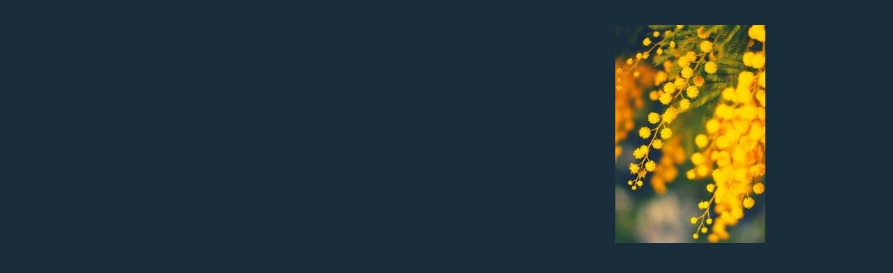 Постер Сегодня праздник для девчат! Театрально-музыкальная программа в Смоленске