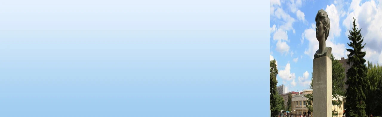 Постер Чайка над планетой в Смоленске