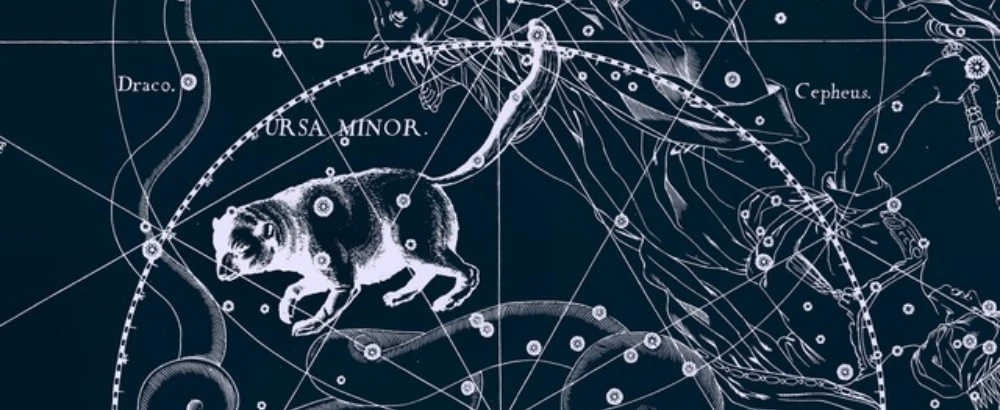 Постер Звездный зверинец. Планетарий в Самаре