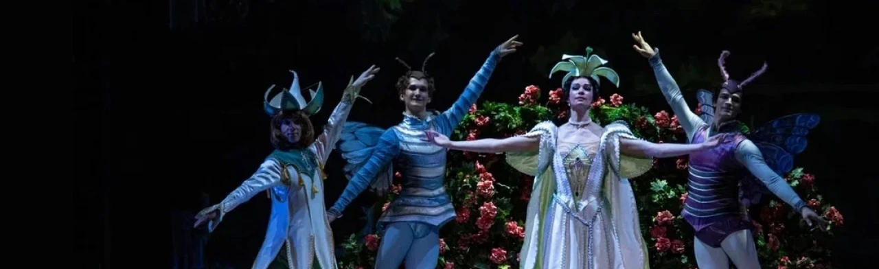 Постер Балеты Императорского двора