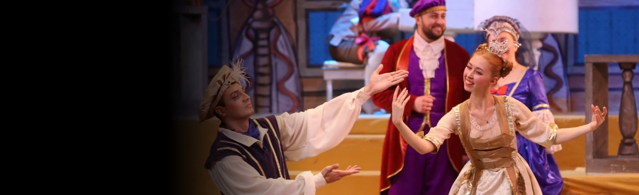 Постер Бременские музыканты. Театр оперы и балета в Самаре