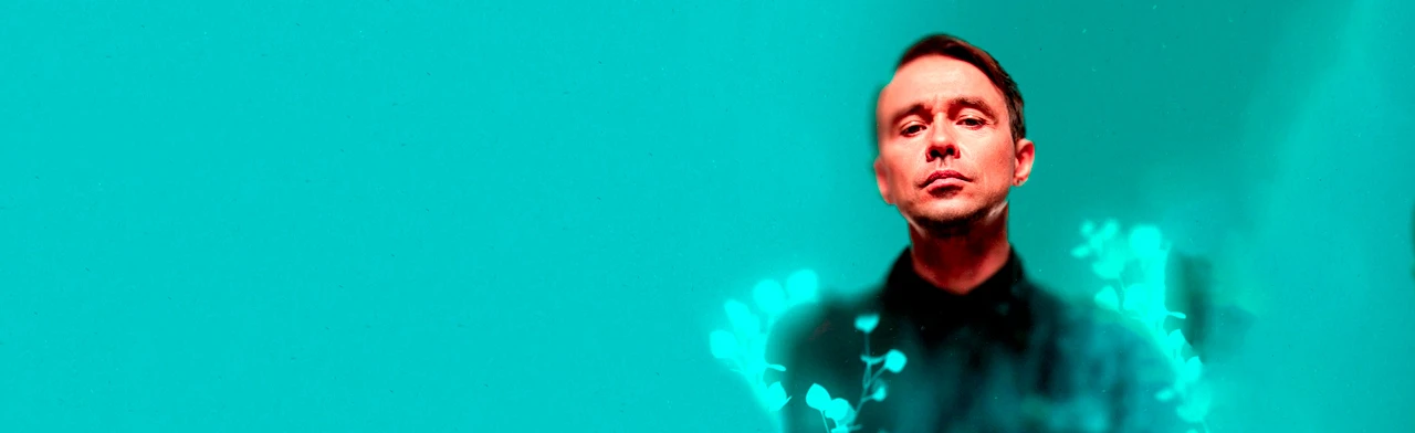 Постер Дельфин. в Санкт-Петербурге