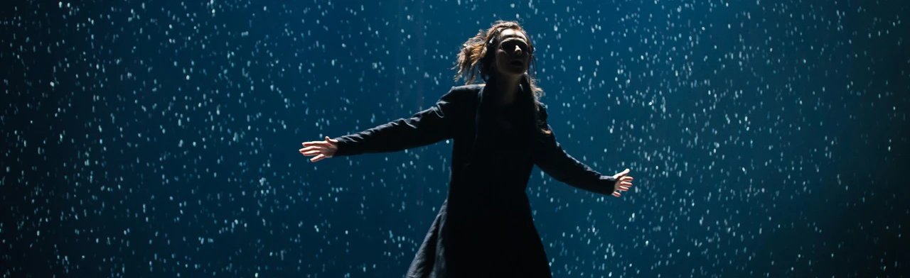 Постер Анна Каренина (Балтийский дом) в Санкт-Петербурге