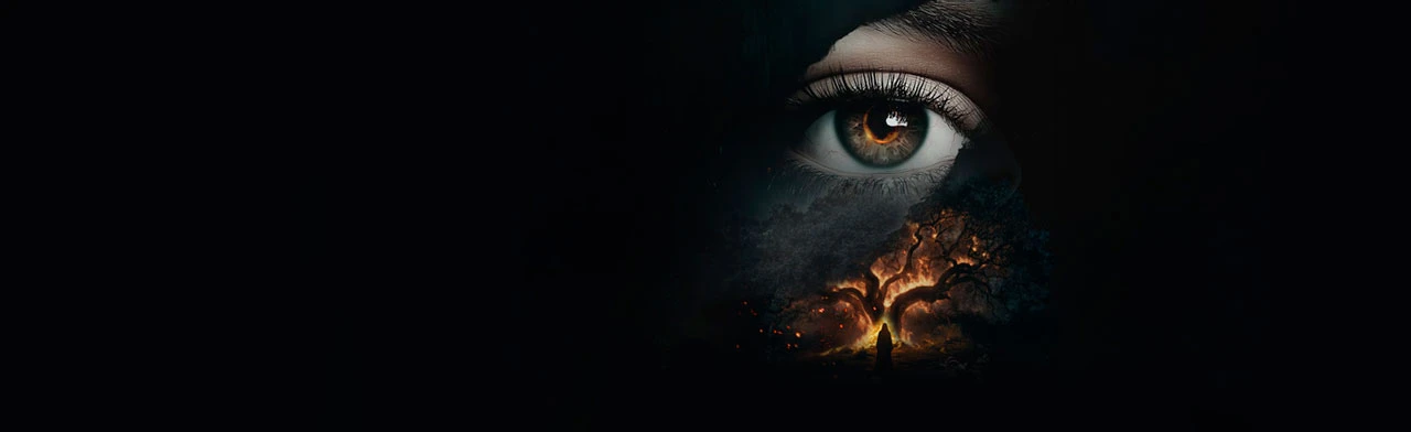 Постер Норма (опера Винченцо Беллини) в Санкт-Петербурге