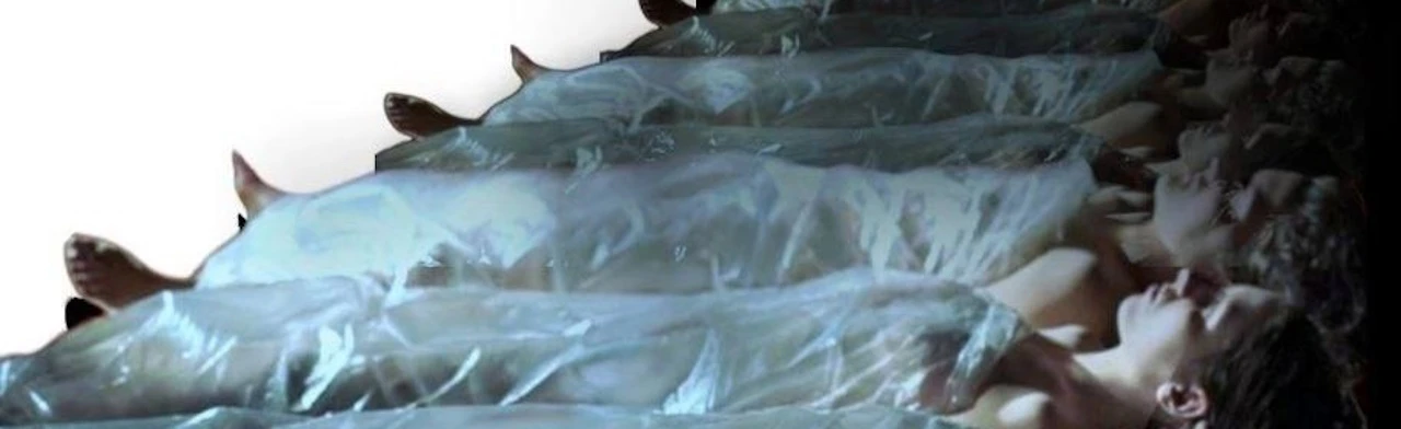 Постер Шекспир. Мясорубка в Санкт-Петербурге