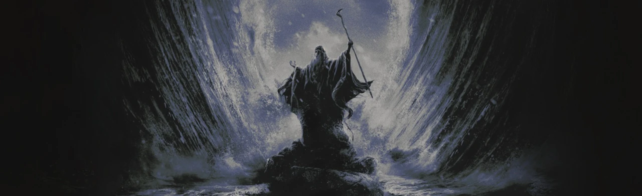 Постер SHOKRAN в Санкт-Петербурге