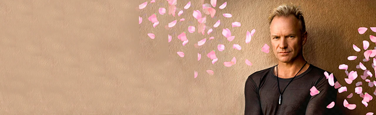 Постер STING & friends (tribute) в тёплом салоне теплохода  на маршруте "Большое Петербургское кольцо" в Санкт-Петербурге