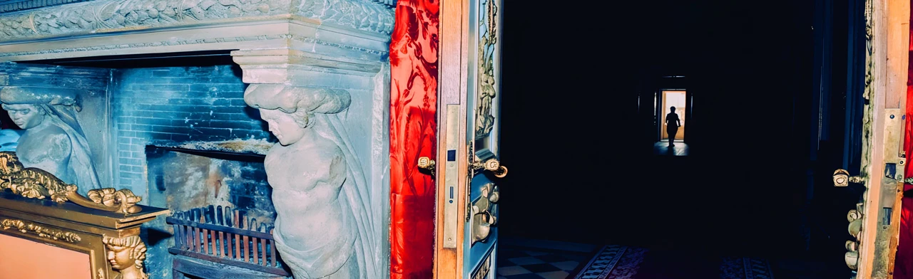 Постер Особняк Половцова: парадные залы за закрытой дверью в Санкт-Петербурге