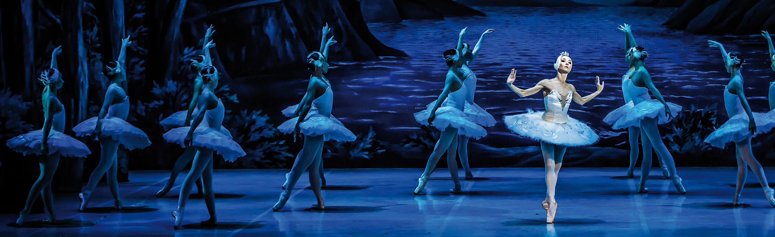 Постер Лебединое озеро в Эрмитажном театре в Санкт-Петербурге