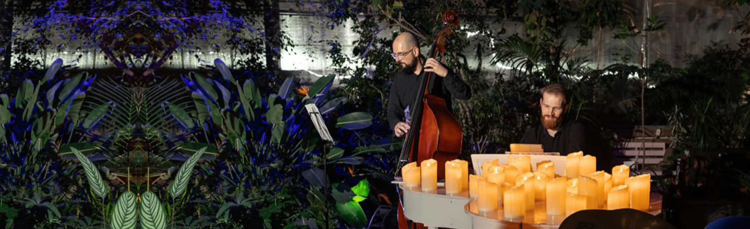 Постер МАГИЯ СВЕЧЕЙ. «Lounge Jazz» в Оранжерее в Санкт-Петербурге