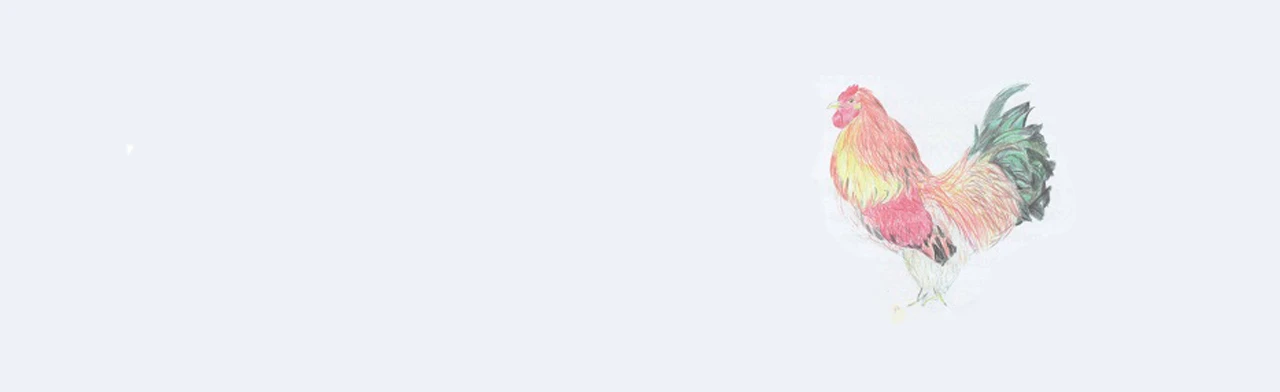 Постер Храбрый петух по имени Али-Баба в Санкт-Петербурге