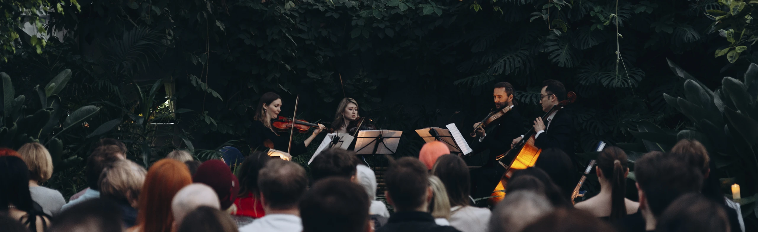 Постер МАГИЯ СВЕЧЕЙ. «Времена года. Vivaldi vs Piazzolla» в Оранжерее в Санкт-Петербурге