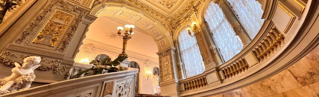 Постер Экскурсия в дом Ученых (Владимирский дворец) в Санкт-Петербурге