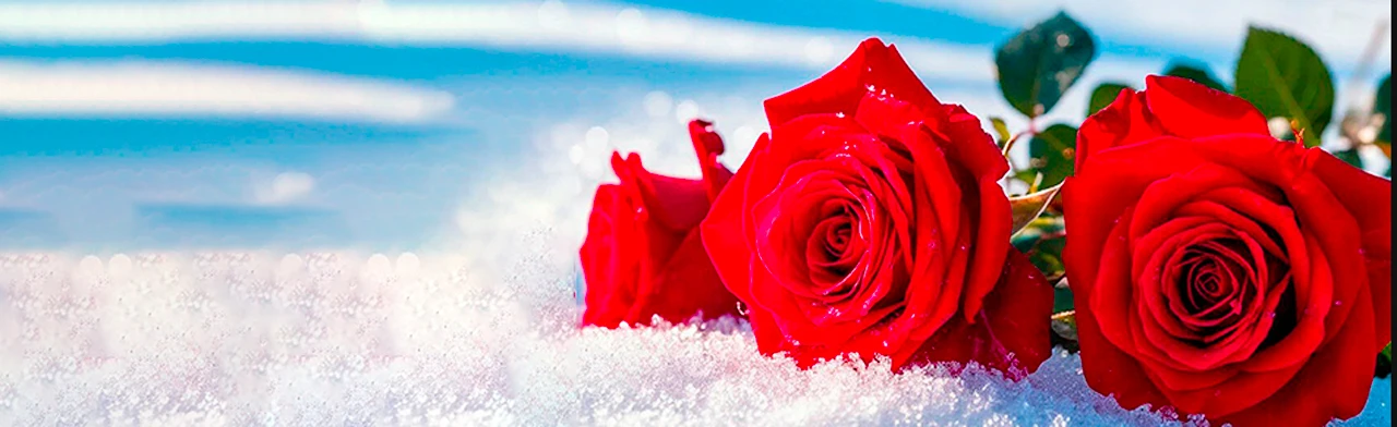 Постер Праздничный концерт (Государственная академическая Капелла) в Санкт-Петербурге