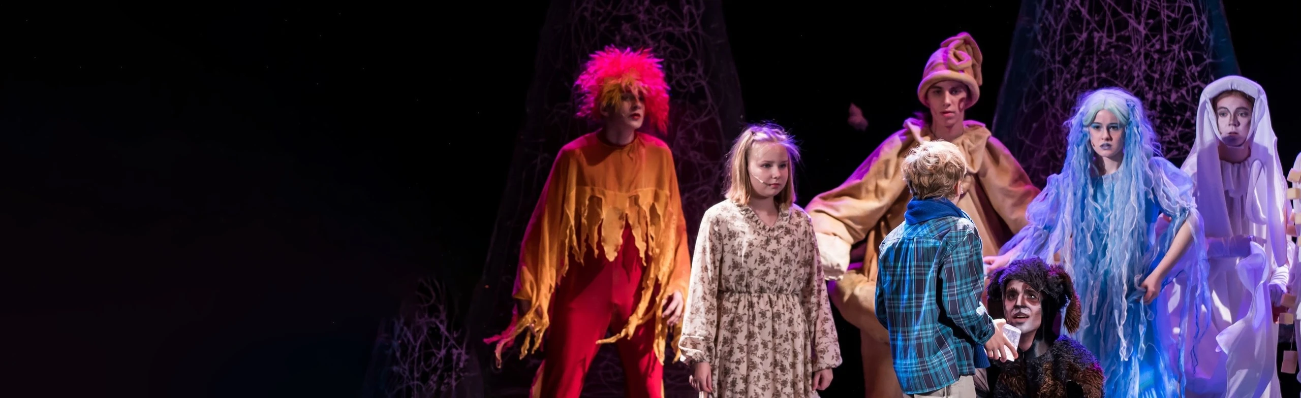 Постер Синяя птица (Санкт-Петербургский Музыкально-драматический театр "Синяя птица") в Санкт-Петербурге