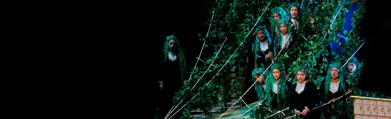 Постер Опера в Санкт-Петербурге для детей в Санкт-Петербурге