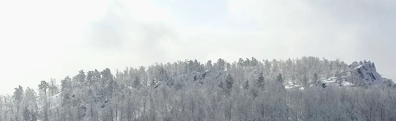 Постер Снегоходно-конная прогулка на гору Яндык в Уфе