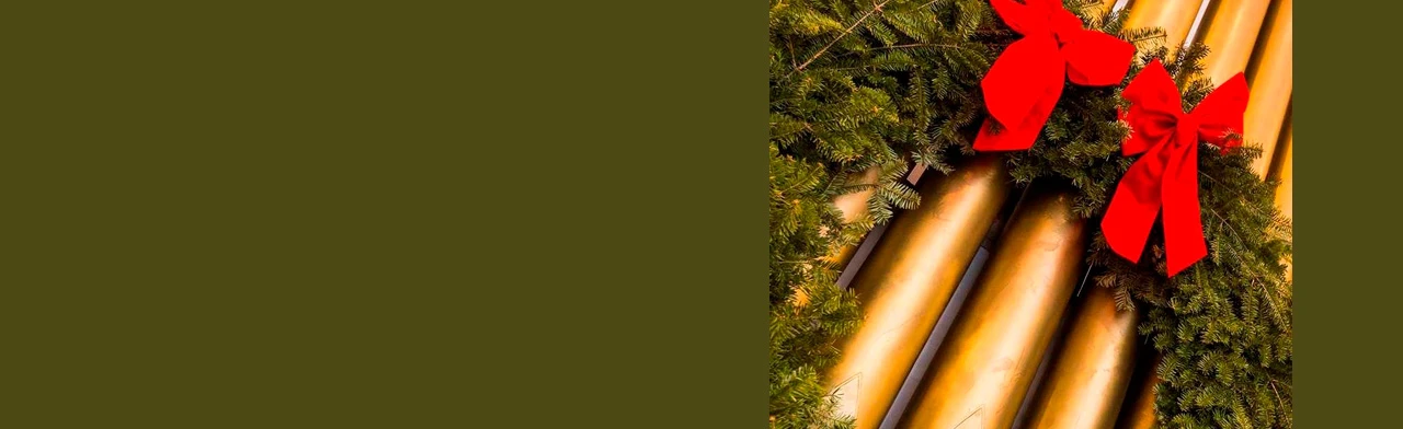 Постер Концерт органной музыки