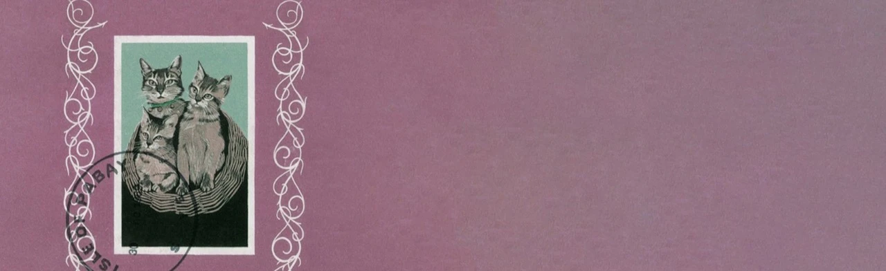 Постер Порез на собаке в Уфе