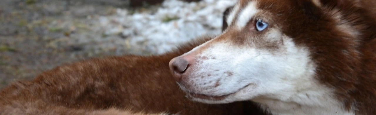 Постер Абзаково и Синие скалы в Уфе